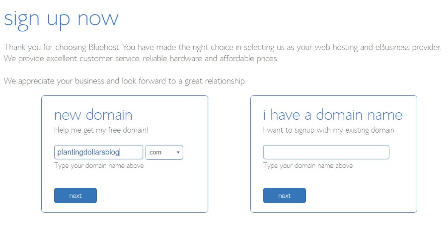 Choosing a Domain Name Bluehost