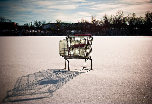 Post image for 5 Reasons Grocery Carts are Evil