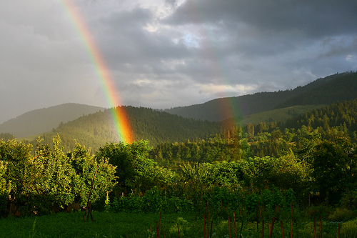 Post image for Fear of Success: Fighting the Anti-Success Leprachaun